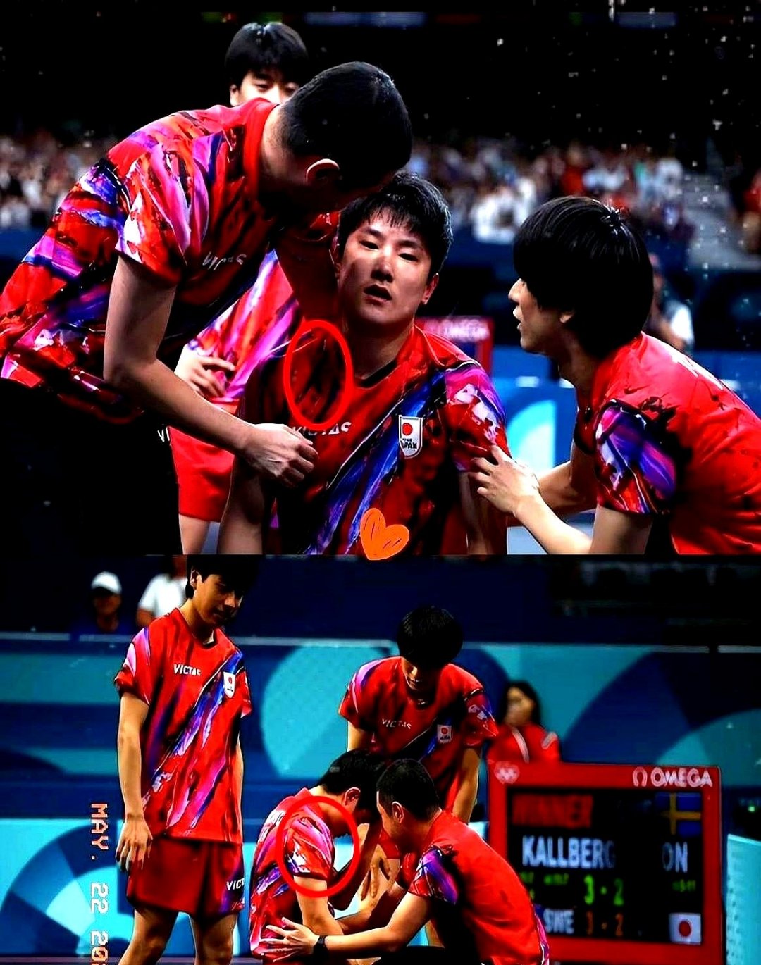 法国乒乓球队鏖战德国乒乓球队，张本智和送出助攻