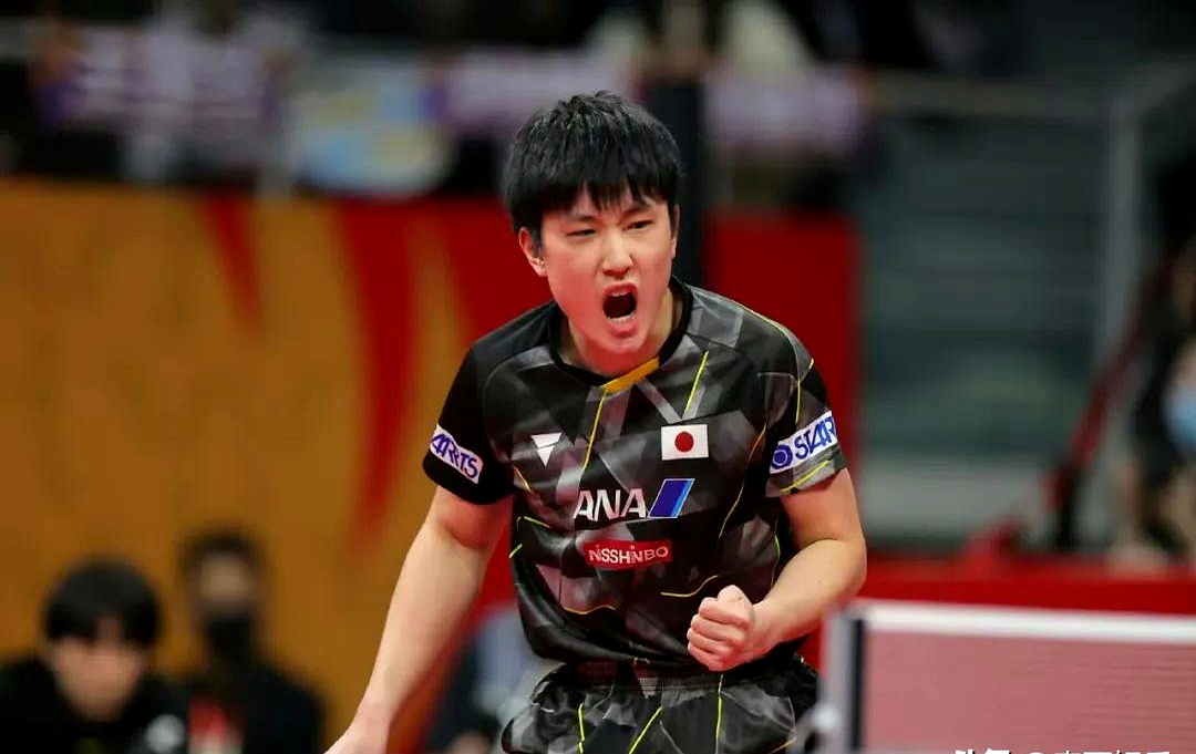 比利时乒乓球队完胜奥地利乒乓球队，张本智和统治全场的简单介绍