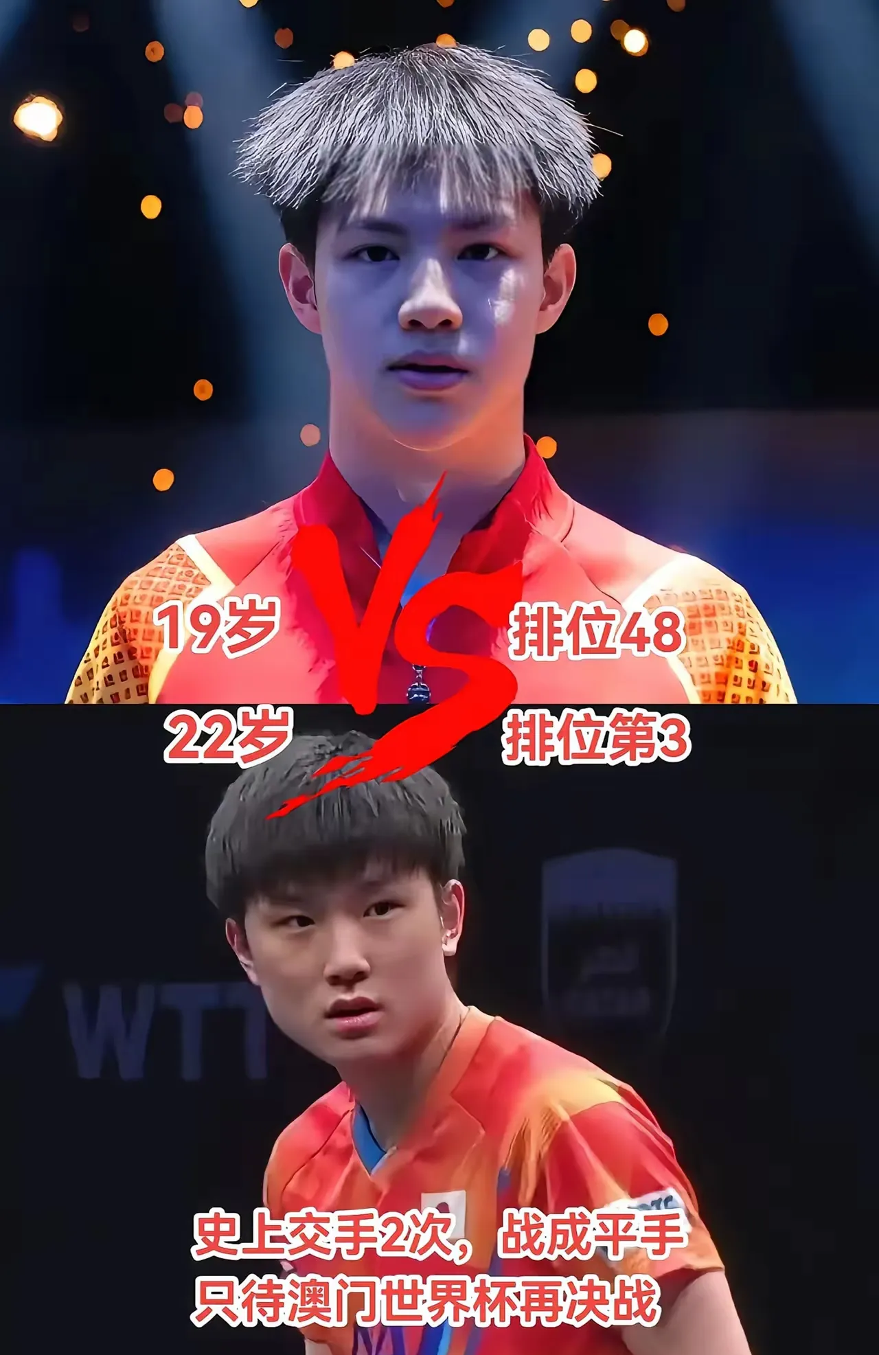 比利时乒乓球队完胜奥地利乒乓球队，张本智和统治全场的简单介绍