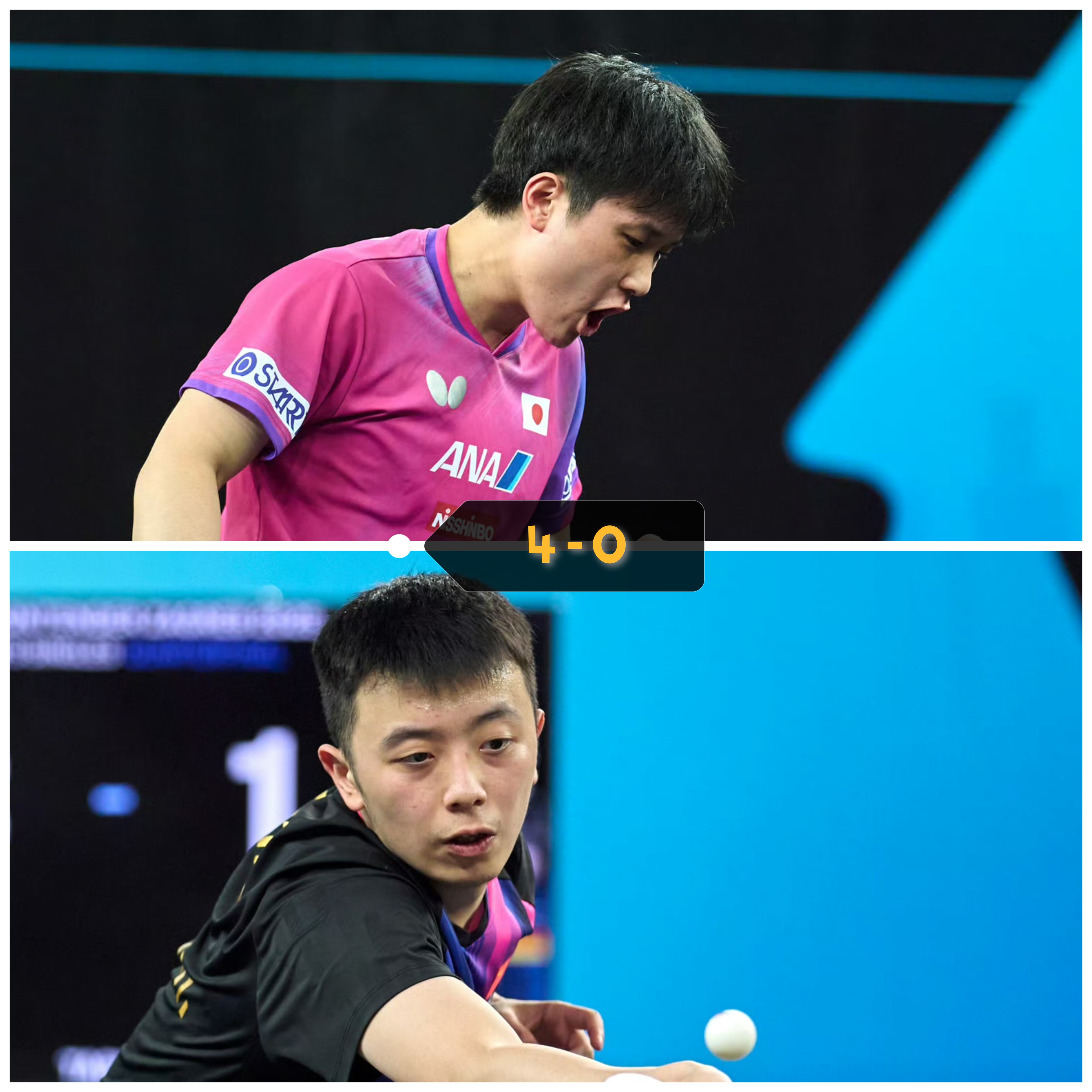 中国队翻盘奥地利队，张本智和统治全场