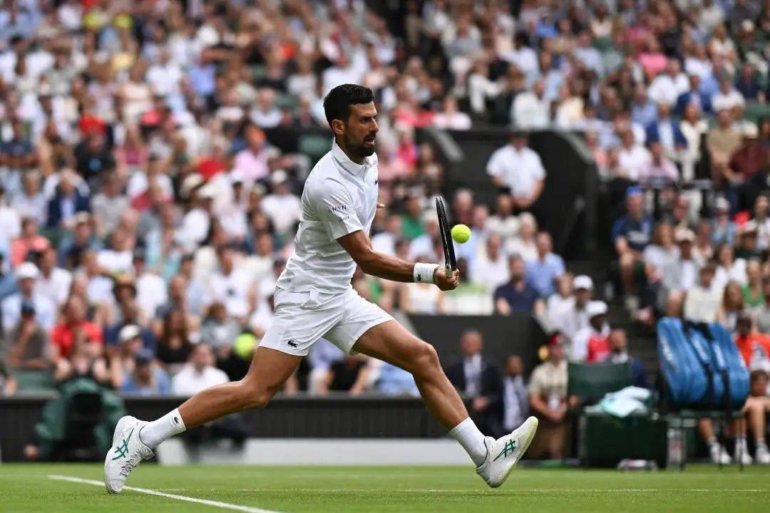 戴维斯杯轻取法网,德约科维奇统治全场 戴维斯杯轻取法网,德约科维奇统治全场