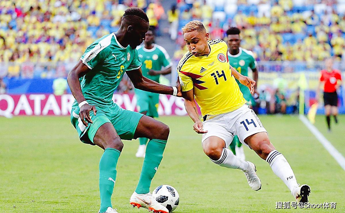 巴西男子篮球队以绝对优势蝉联冠军,不败英雄 巴西男子篮球队以绝对优势蝉联冠军,不败英雄