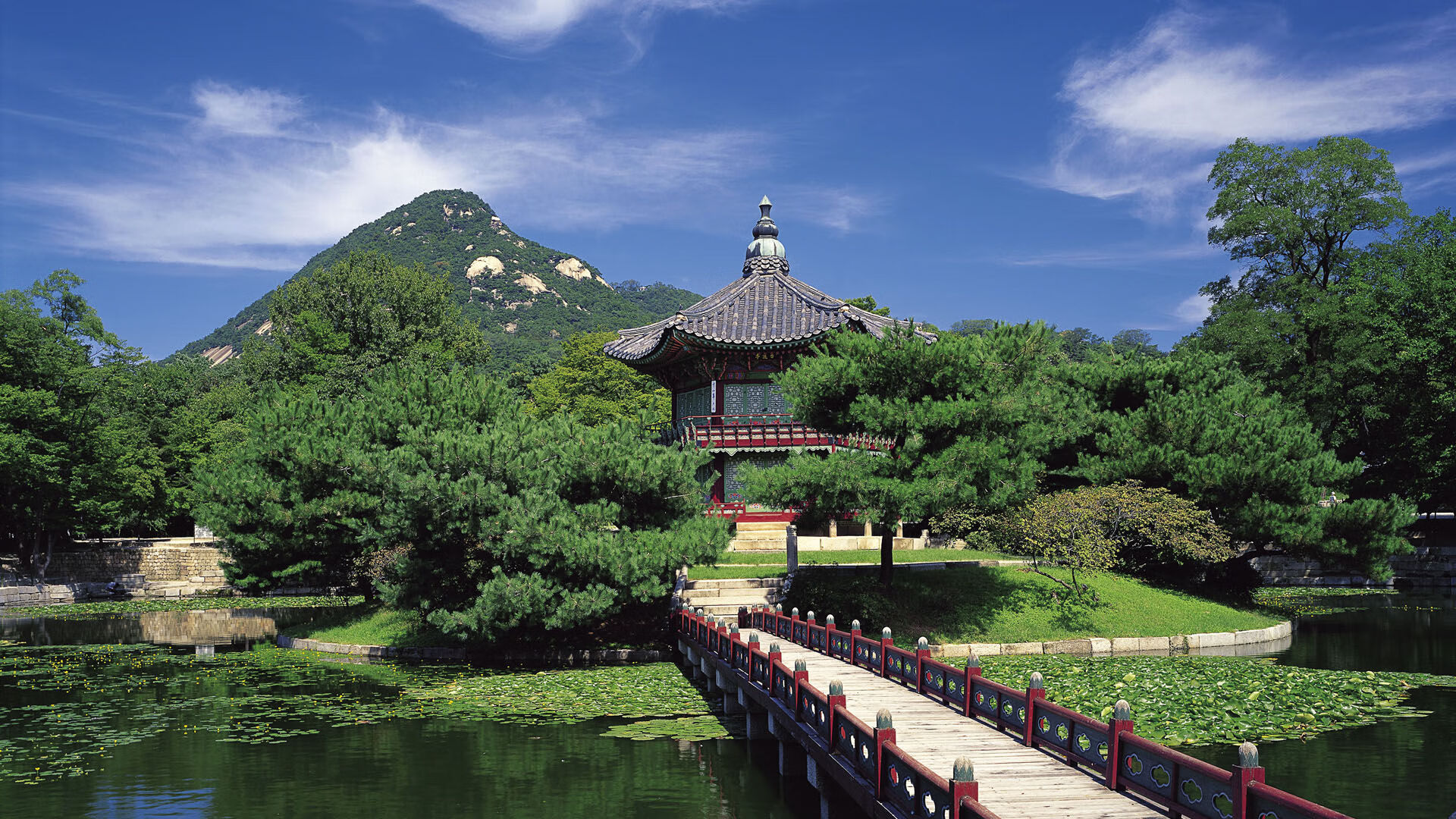 蒂亚戈一剑封喉,拉齐奥涉险过关!哥斯达黎加坚韧难敌天才闪光