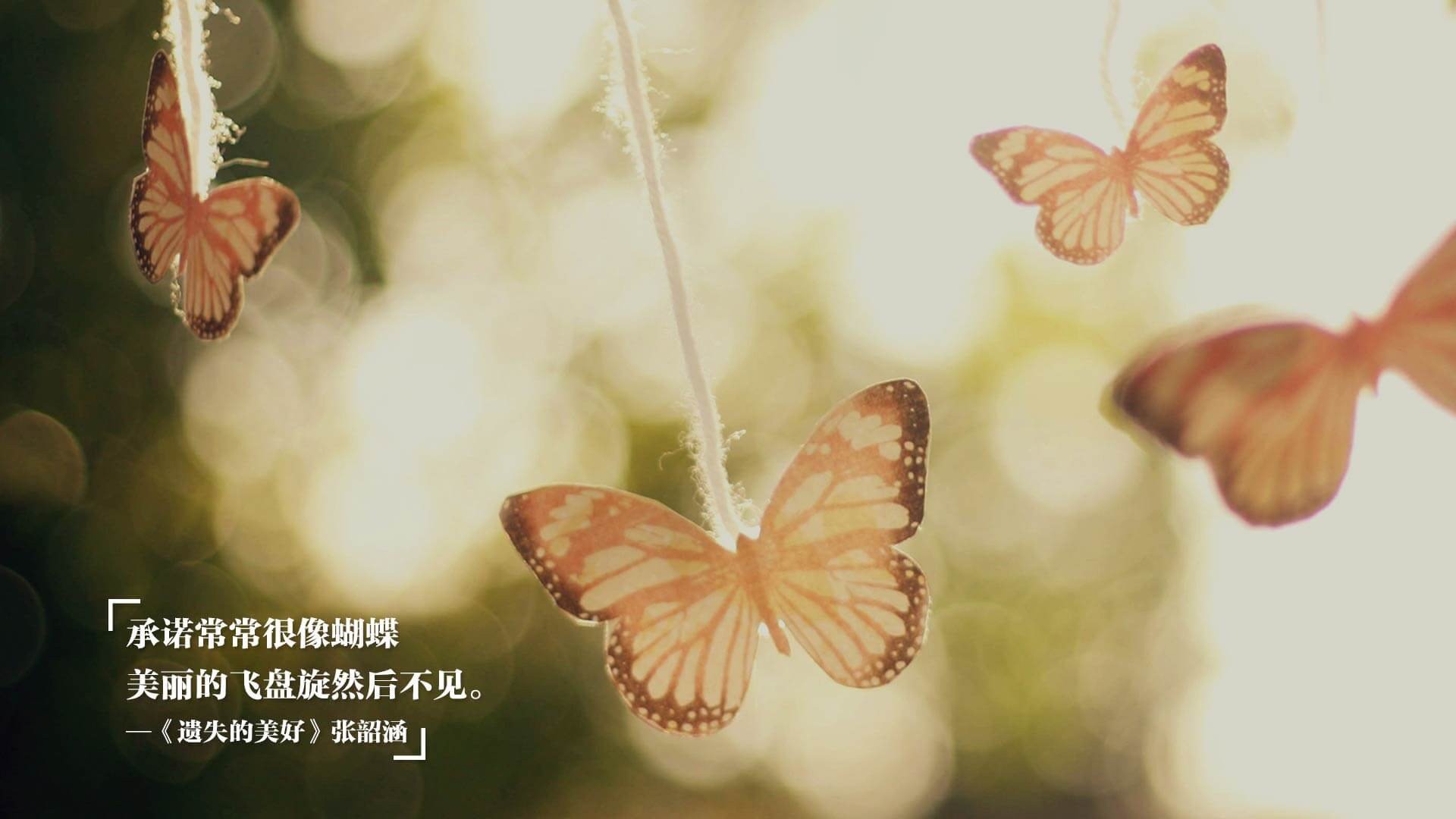 安达卢西亚之夜，当塞维利亚扇子舞遇上摩洛哥沙漠风，格纳布里一锤定音