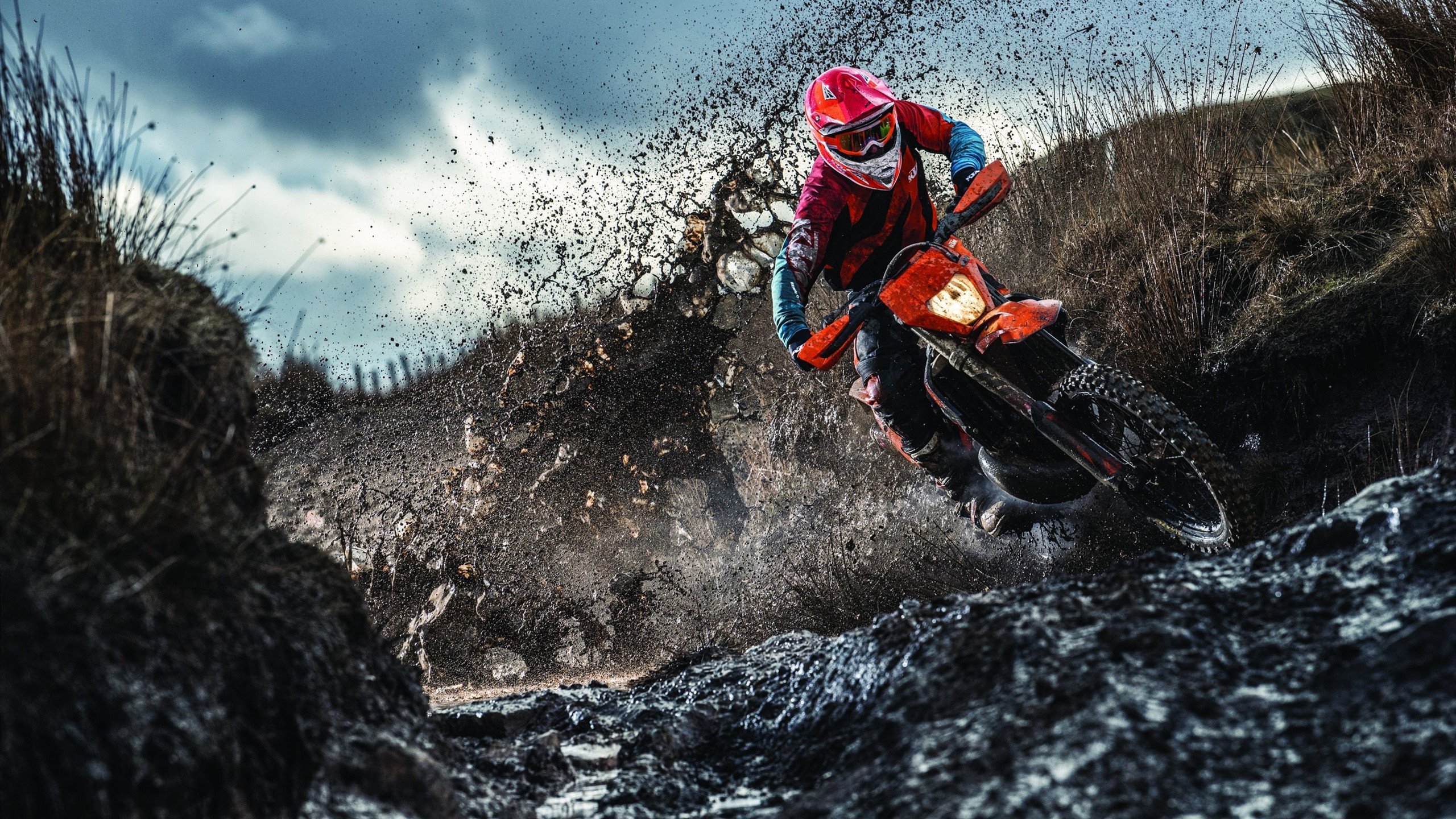 跨界战场，当爵士乐风席卷篮球圣殿，2026的造梦引擎已然启动