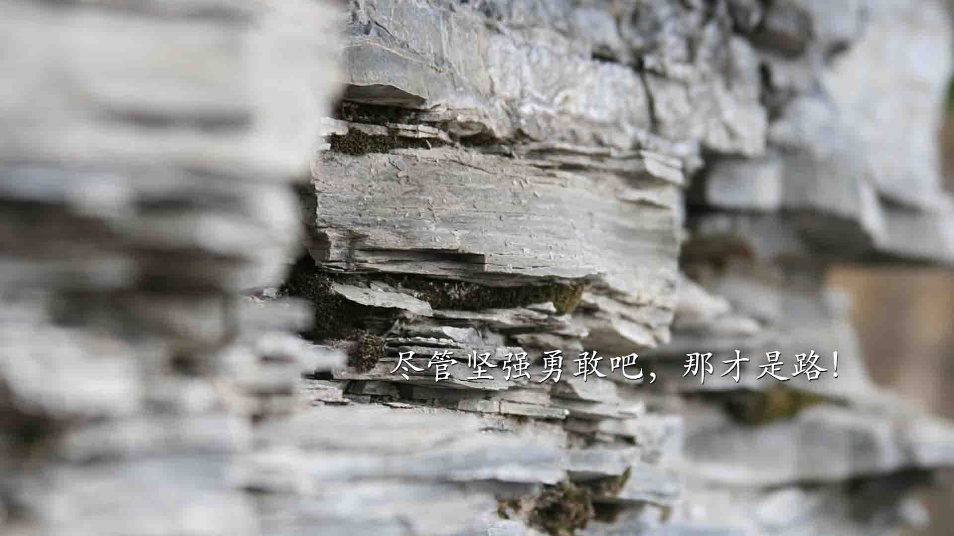 他的进球是一则宣言,在开场哨的回响里提前扼杀了整个夜晚