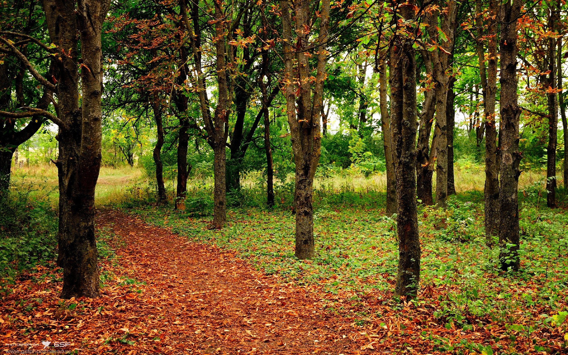 当篮球哲学驶入F1赛道,从掘金强压凯尔特人,到保罗的年度争冠接管术