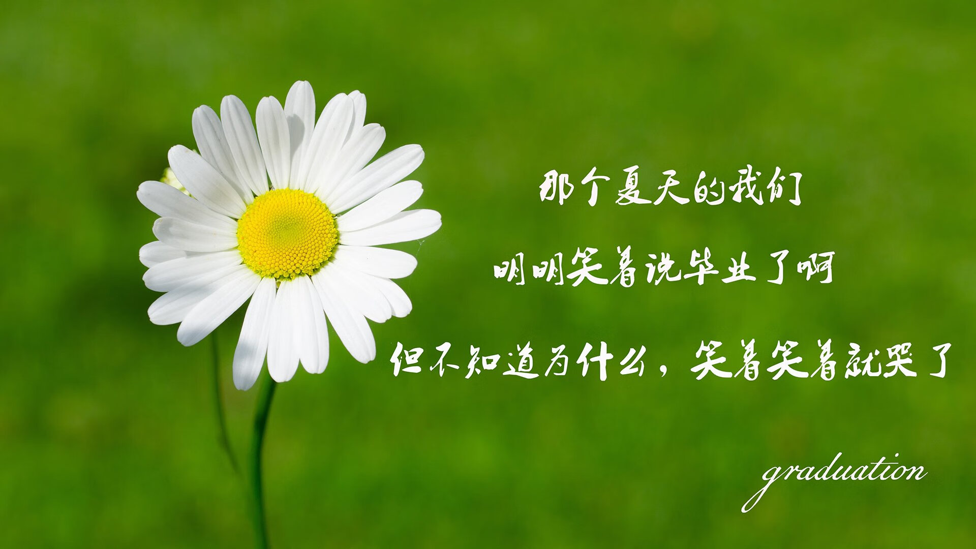 克瓦拉茨赫利亚独舞绿茵,智利与摩洛哥对决中的天才闪光