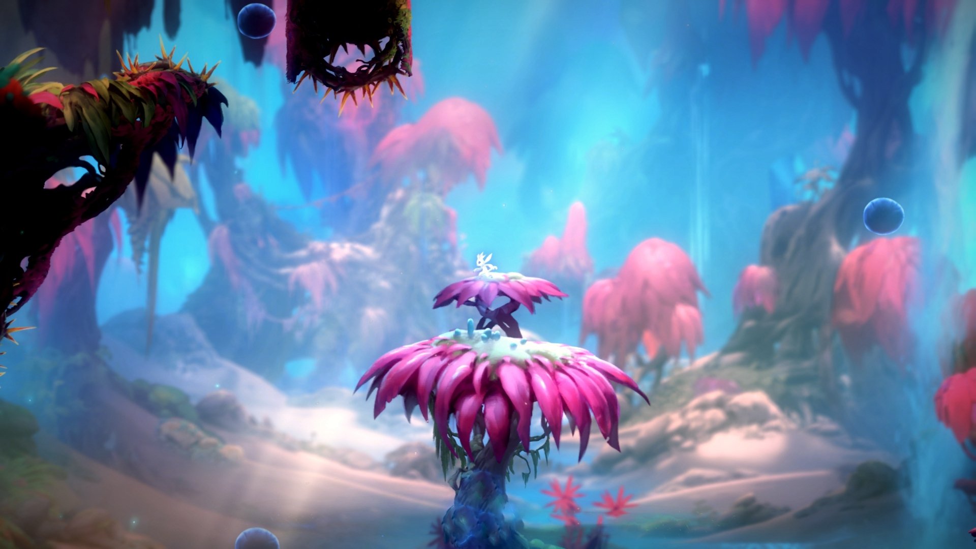 跨洲际的抢七，伊拉克如何提前终结与土耳其的悬念之战