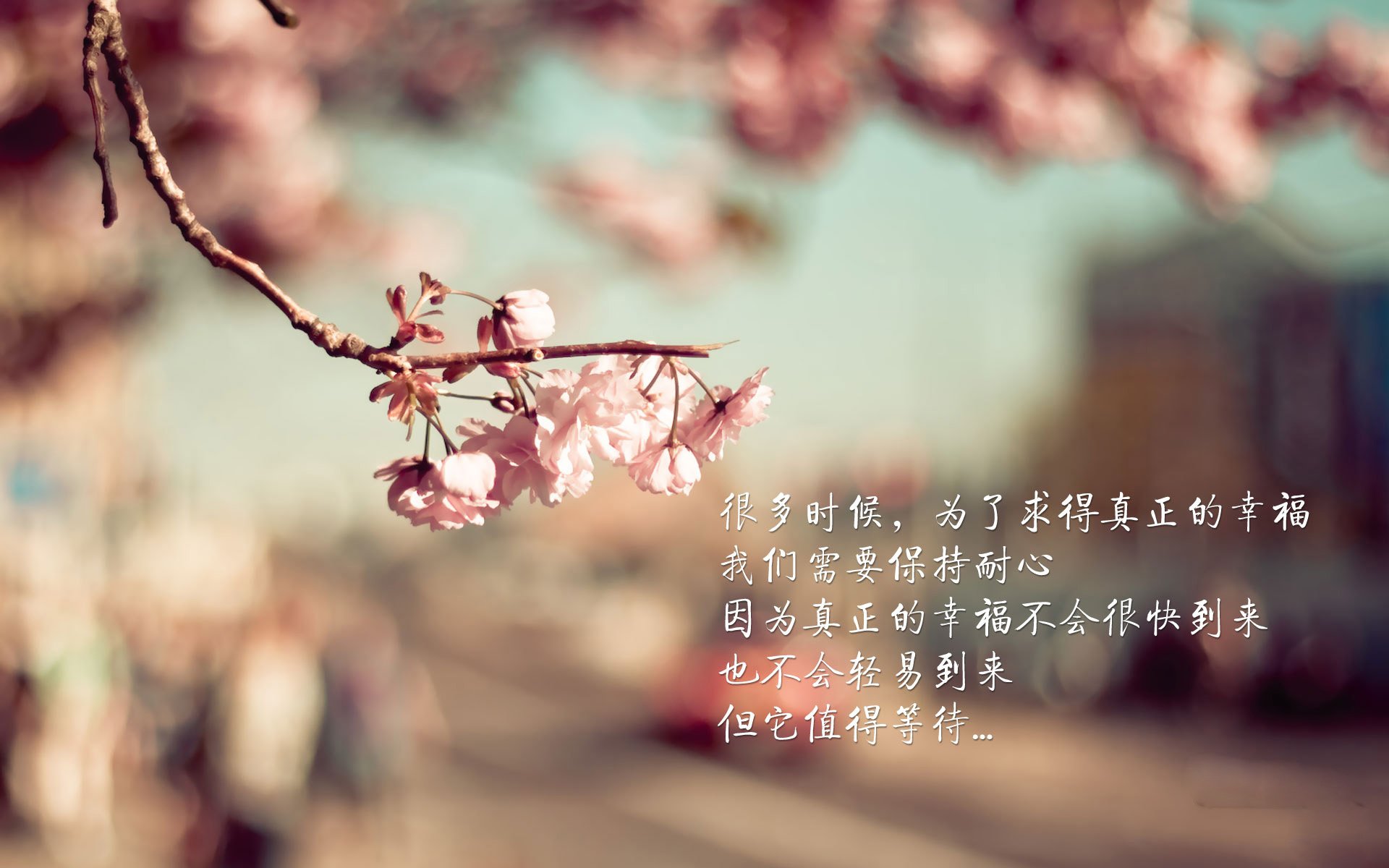 宿命对决,2026世界杯H组生死局,巴西碾压美国,久保建英压哨绝杀书写东瀛传奇