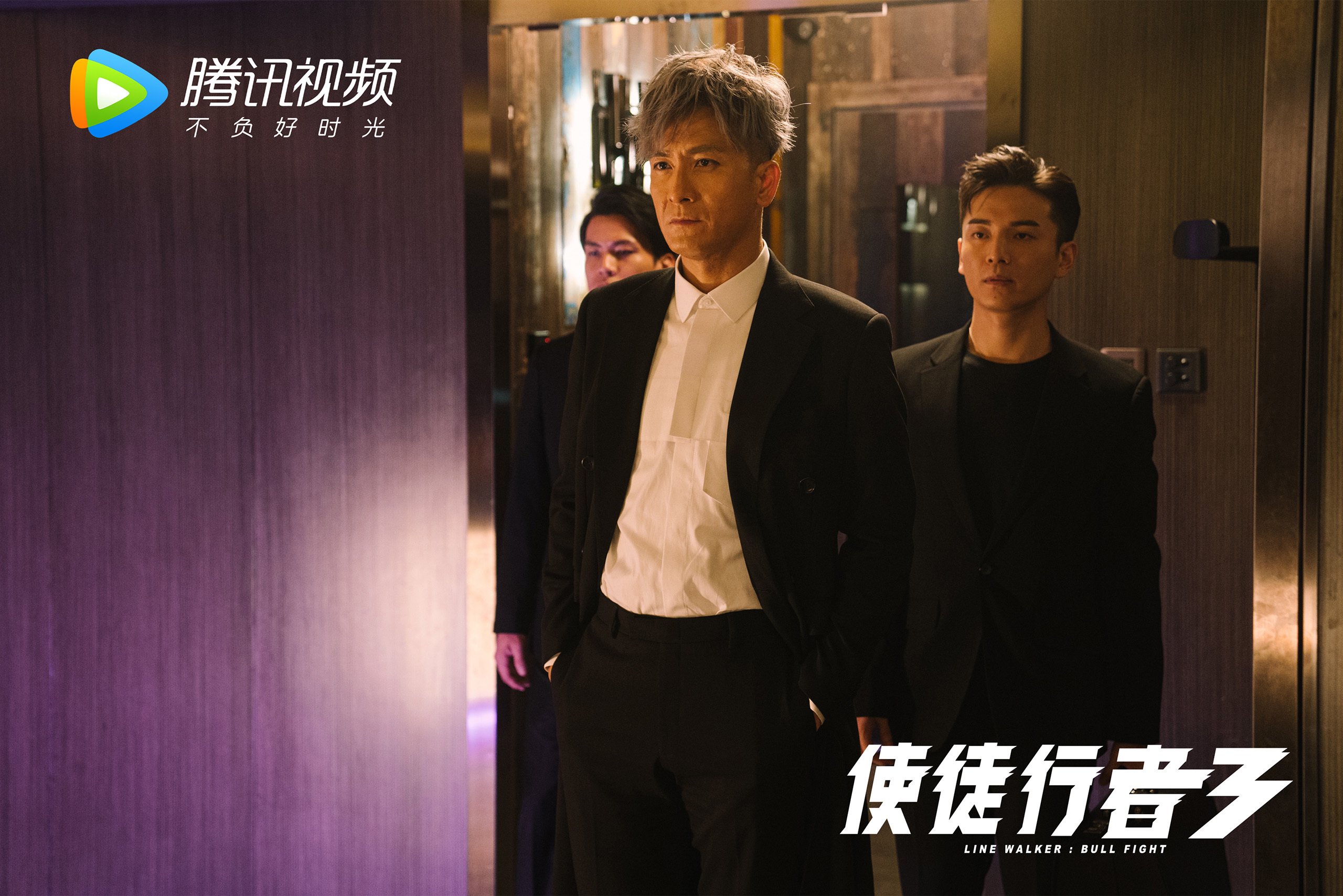 郁金香凋零在基多之巅，范戴克孤星闪耀难救主，厄瓜多尔高原风暴席卷D组